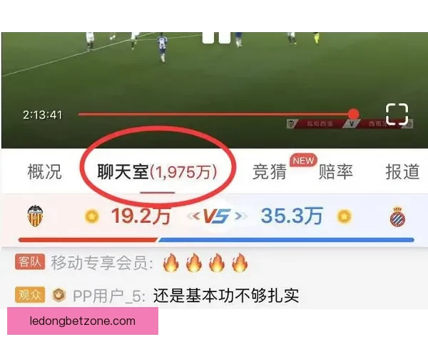 体育竞猜赔率分析：如何从数据中挖掘赢利机会并精准预测赛事结果